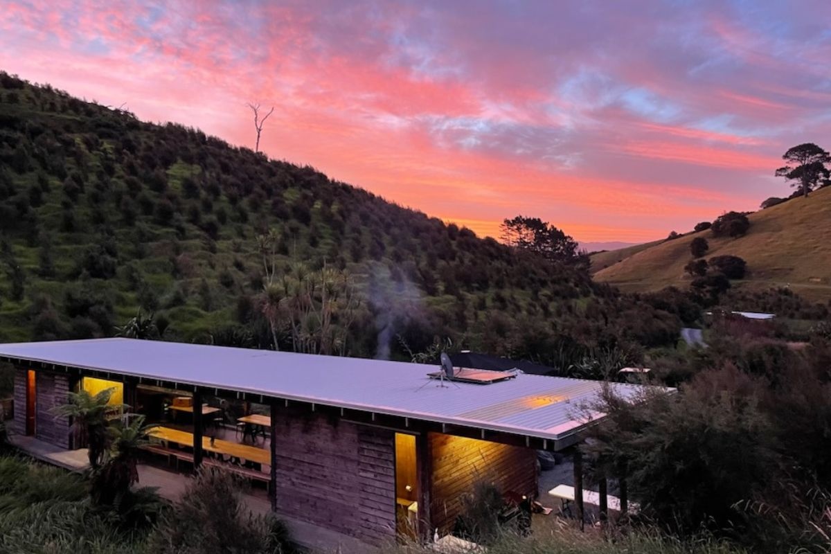 Kauri-Bay-Hero-Image-1