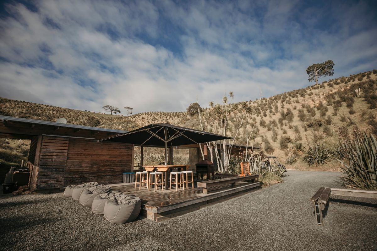 Kauri-Bay-Gallery-Image 3