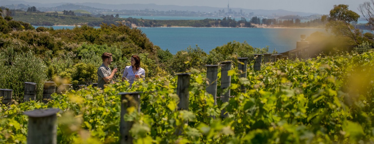 h-au_Itineraries_vineyard h-au_Itineraries_vineyard