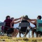 Photo of 14-Day New Zealand Adventure Tour, Freemans Bay, St Mary's Bay