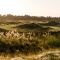 Photo of Windross Farm Golf Course, Ardmore, Ardmore