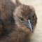 Photo of Nature Quest New Zealand, Dunedin