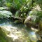 Photo of The Road Trip 8 Day North Island Highlights Private Tour, Auckland Central