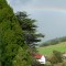 Photo of Puhoi Organic Distillery, Puhoi