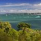Photo of Auckland Scenic Tours, Parnell, Parnell