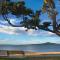 Photo of Auckland City Tour - GreatSights New Zealand, CBD