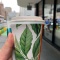 Photo of Kingston Street Cafe, Auckland CBD, Auckland