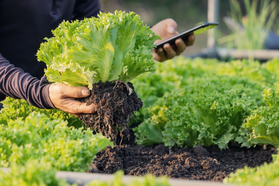 Invest - key industries - cleantech