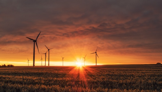 Sunset and wind turbine in the background