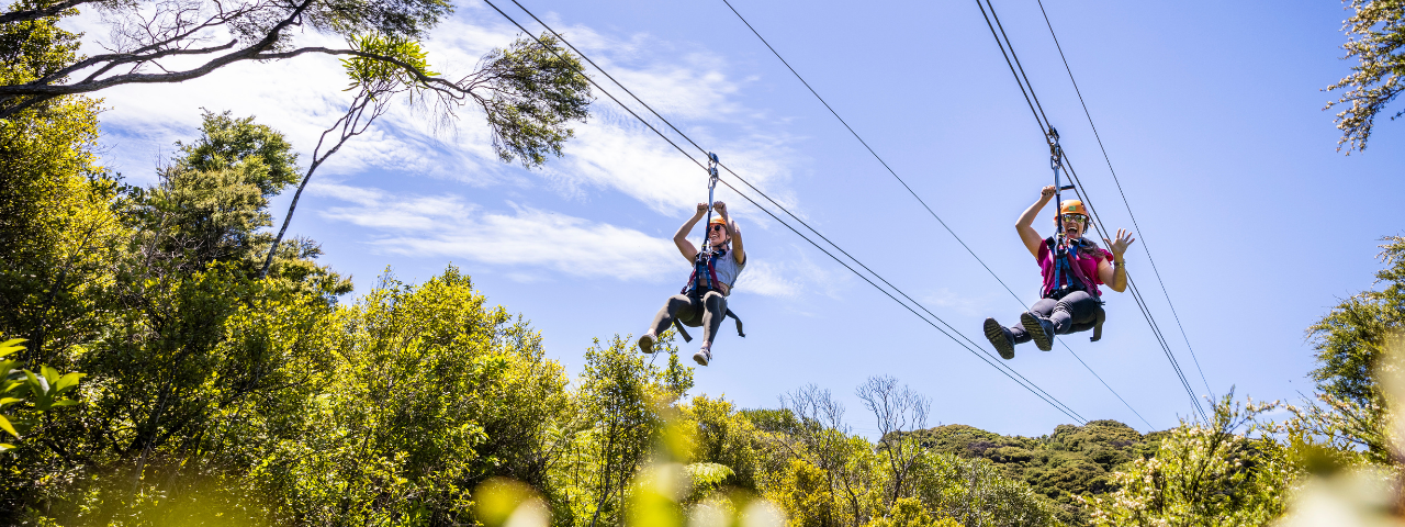 EcoZip adventures EcoZip Adventures