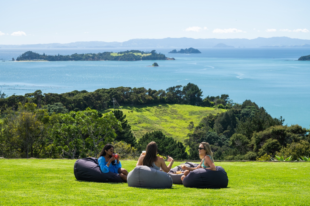 Meet - Waiheke Banner FINAL Waiheke island views