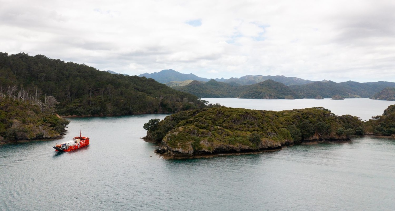 SeaLink banner image 2 Island Navigator arriving at Great Barrier Island