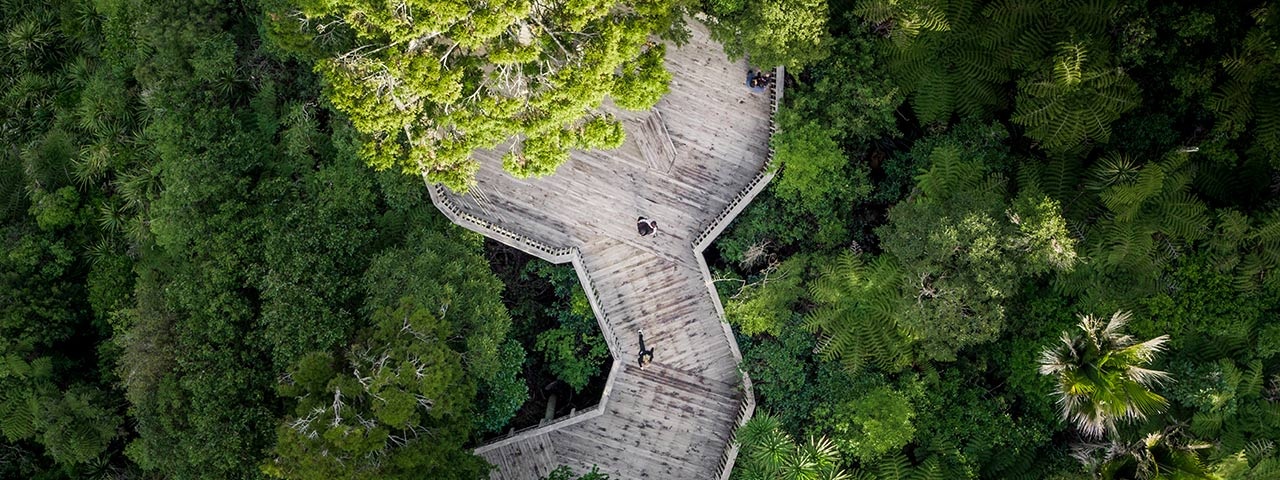 Aerial view of Waitakere Ranges and Arataki Visitor Centre Aerial view of people on a wooden platform surrounded by native bush at Arataki Visitor Centre