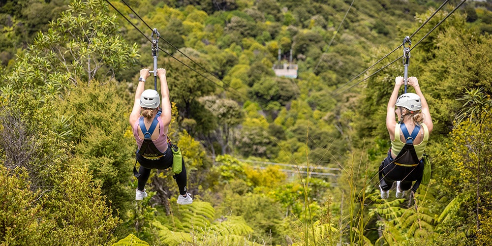 EcoZip Adventures Two people ziplining through trees on Waiheke Island