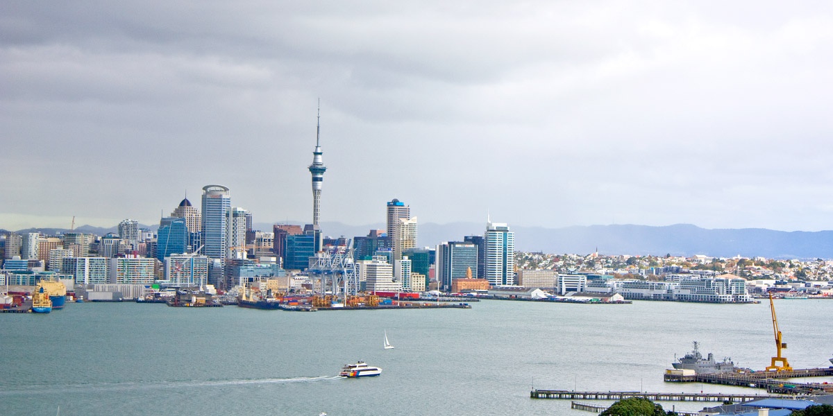 Bush and Beach Auckland City Revealed - Half Day Tour, Auckland CBD Photo of Bush and Beach Auckland City Revealed - Half Day Tour, Auckland CBD, Auckland Central