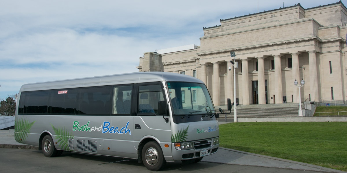 Bush and Beach Auckland City Revealed - Half Day Tour, Auckland CBD Photo of Bush and Beach Auckland City Revealed - Half Day Tour, Auckland CBD, Auckland Central