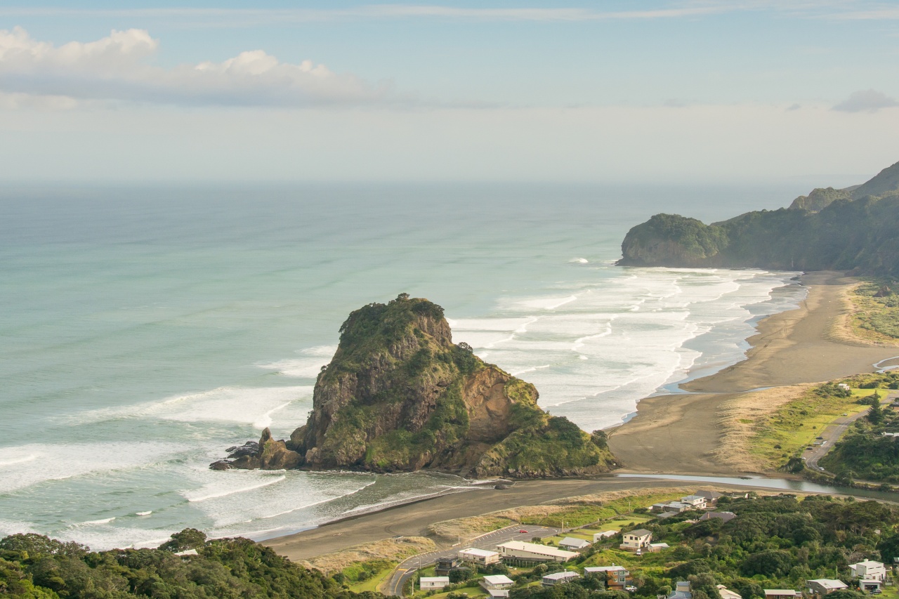 Bush and Beach Best of Both Worlds - Full Day Tour, Auckland CBD Photo of Bush and Beach Best of Both Worlds - Full Day Tour, Auckland CBD, Auckland Central