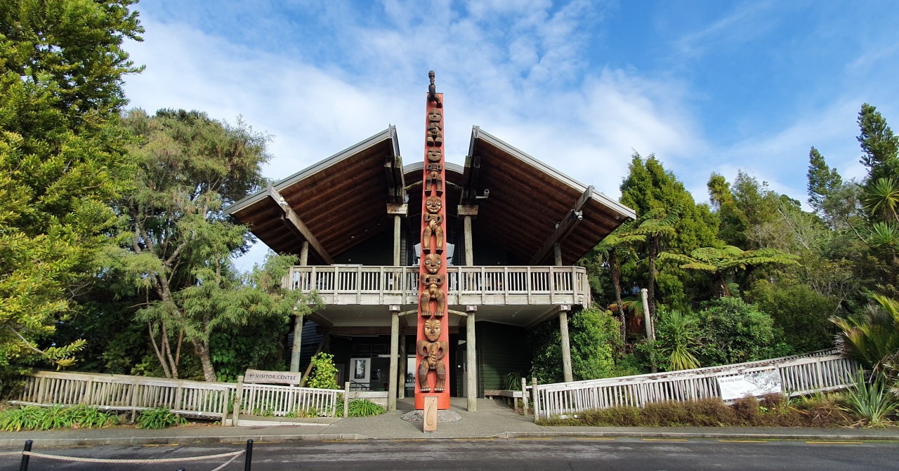 Bush and Beach Wilderness Experience - Half Day Tour, Auckland CBD Photo of Bush and Beach Wilderness Experience - Half Day Tour, Auckland CBD, Auckland Central