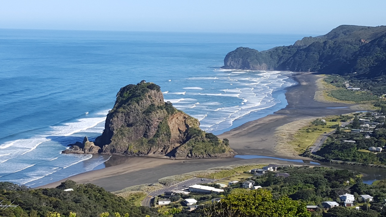 Bush and Beach Wilderness Experience - Half Day Tour, Auckland CBD Photo of Bush and Beach Wilderness Experience - Half Day Tour, Auckland CBD, Auckland Central