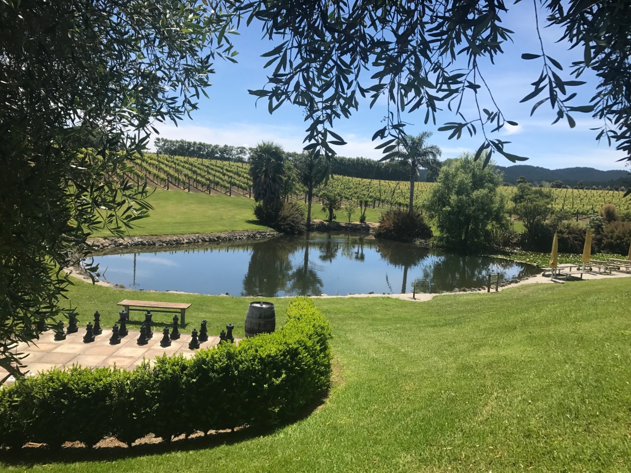 West Brook Winery, Huapai Photo of West Brook Winery, Huapai, Huapai