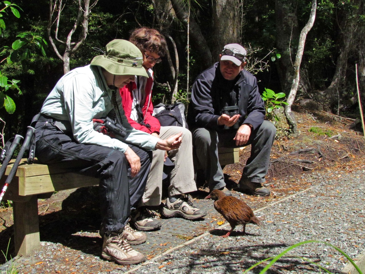 Nature Quest New Zealand Photo of Nature Quest New Zealand, Dunedin