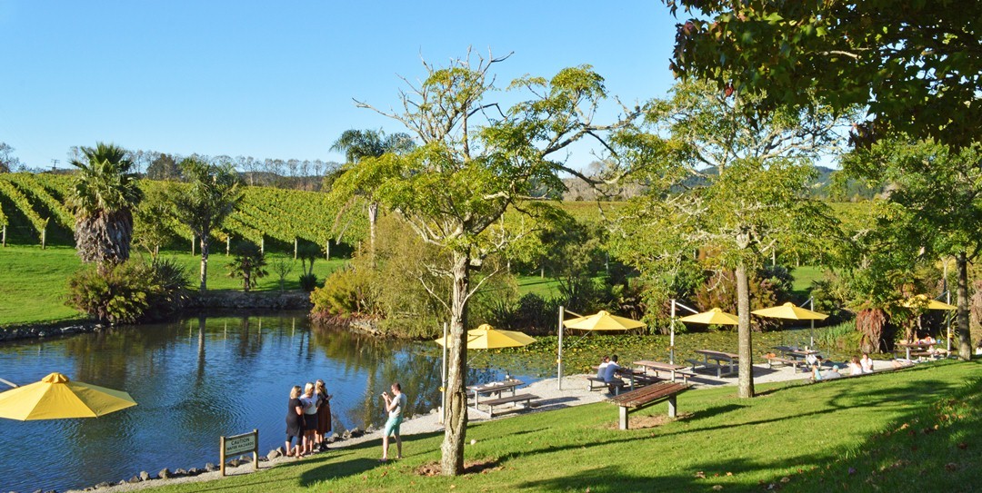 West Brook Winery, Huapai Photo of West Brook Winery, Huapai, Huapai