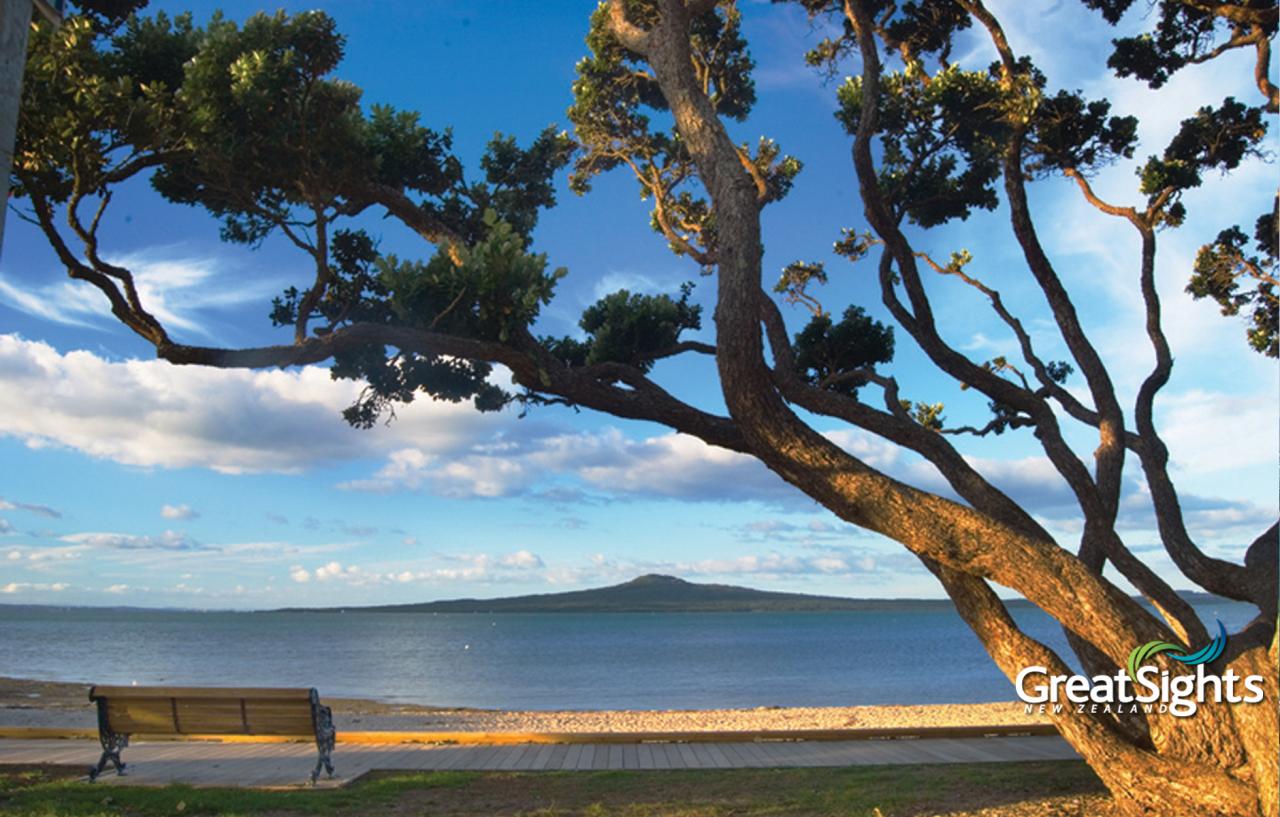 Auckland City Tour - GreatSights New Zealand Photo of Auckland City Tour - GreatSights New Zealand, CBD