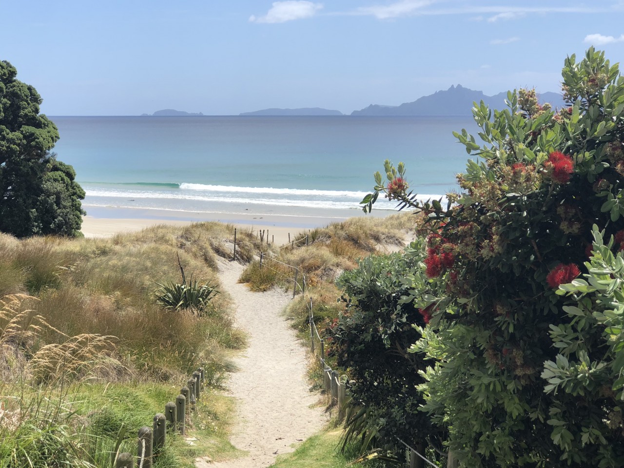 Photo of Go North Mini Coach Tours - Day Getaways, Moir Street