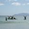 Photo of Saltwater Eco Surf School, Omaha, Matakana