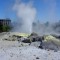 Photo of The Road Trip 8 day privately guided North Island Tour, Papanui